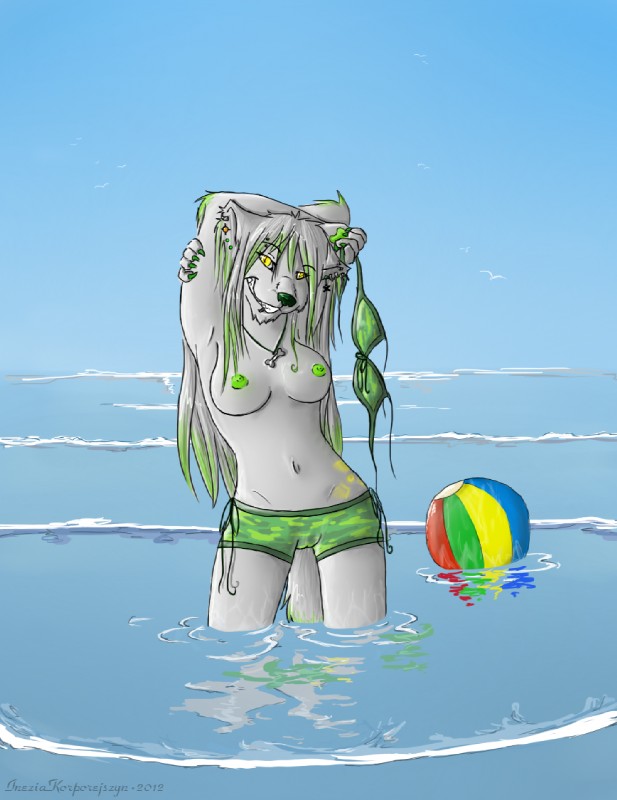 anthro bottomwear breasts camel_toe clothed clothing detailed_background female fur grey_body grey_fur hair holidays long_hair outside pose sea seascape shorts sky smile solo summer swimwear topless water yellow_eyes caatnip avalia canid canine canis domestic_dog mammal wolf