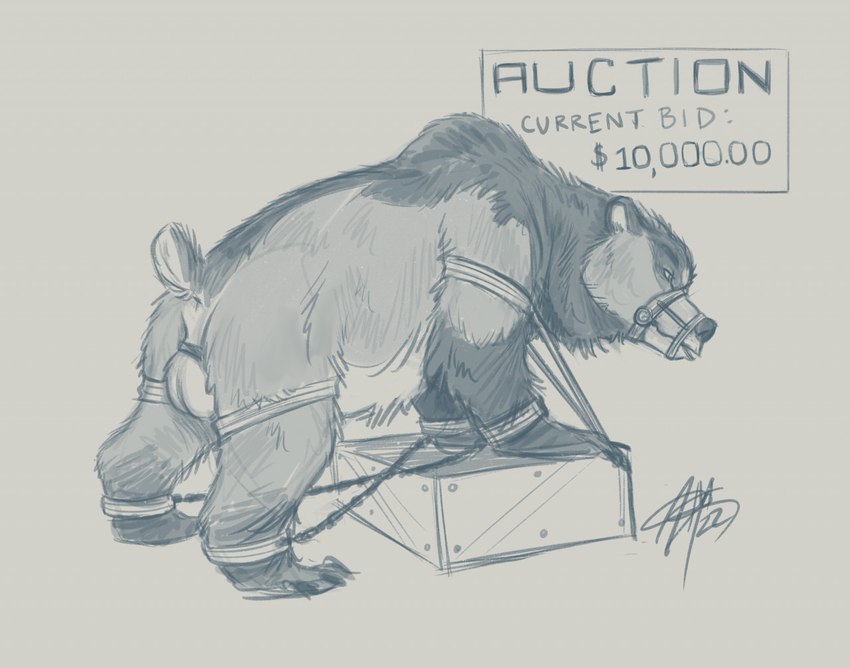 anus auction ball_ring balls bdsm bidding bondage bondage_gear bound chain chained cuff_(restraint) feral genitals hair male mane mane_hair muzzle_(object) muzzled raised_tail restraints rope rope_bondage solo tail text aerosaur83 kuruk_(character) bear brown_bear grizzly_bear mammal ursine english_text