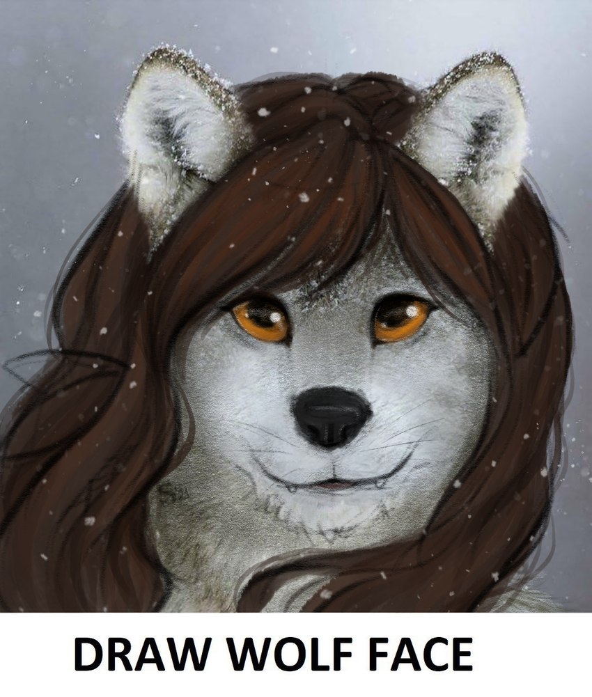 draw wolf face created by samantha-dragon