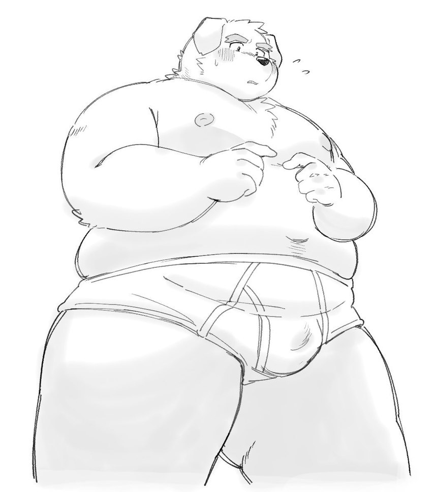 anthro belly big_belly blush bulge clothing kemono male moobs navel nipples overweight overweight_male simple_background solo underwear white_background sv_grart canid canine canis domestic_dog mammal 2023 monochrome