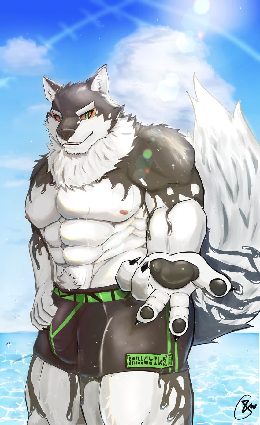 abs anthro bottomwear bulge clothing fur green_eyes male multicolored_body multicolored_fur muscular muscular_anthro muscular_male nipples pawpads pecs red_sclera shorts solo swimwear shi_to422 lifewonders live_a_hero monomasa canid canine canis domestic_dog husky mammal nordic_sled_dog spitz hi_res