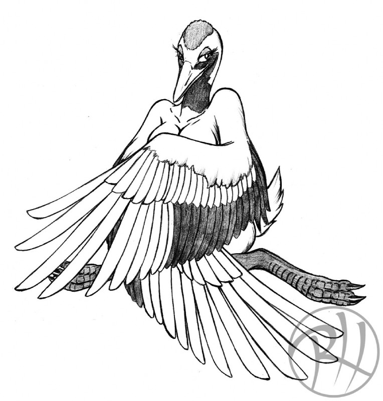 anthro beak breasts cleavage clothed clothing covering covering_self feathered_wings feathers female non-mammal_breasts nude simple_background solo wings predaguy yuriko_(aidagull) avian bird crane_(bird) gruiform grus_(genus) red-crowned_crane hi_res monochrome traditional_media_(artwork)