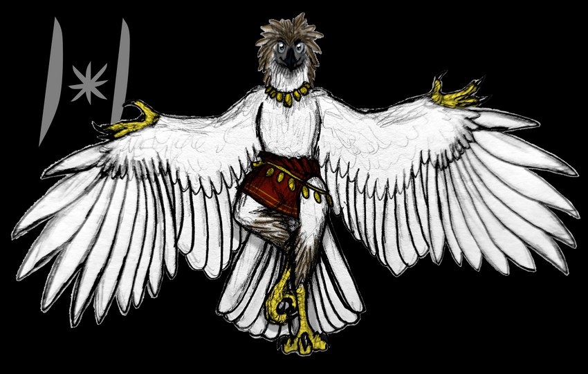 anthro belt blue_eyes bottomwear brown_body brown_feathers claws clothed clothing cocky_smile digitigrade feathers feet female flat_chested front_view gold_(metal) gold_trim jewelry loincloth necklace pose red_clothing scales simple_background smile solo tail talons toes topless transparent_background tribal white_body white_feathers winged_arms wings yellow_body yellow_feet yellow_hands yellow_scales haribunawa ku-koli_(haribunawa) aarakocra_(dnd) accipitrid accipitriform avian bird eagle philippine_eagle alpha_channel hi_res signature