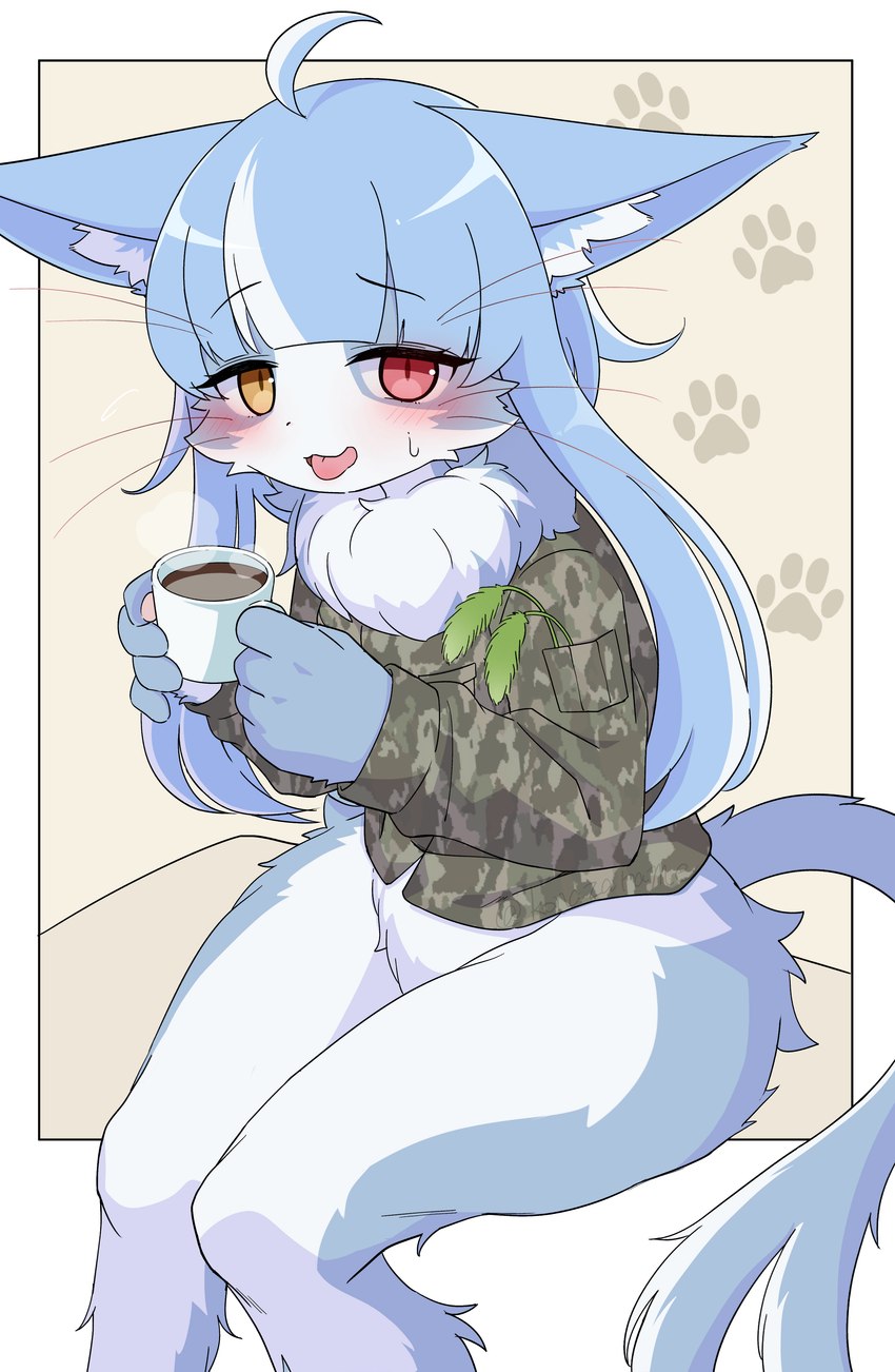 5_fingers ahoge anthro beverage blue_body blue_fur blue_hair blush bodily_fluids bottomless bottomless_anthro bottomless_male camo camo_clothing camo_print cheek_tuft clothed clothing coffee coffee_cup container countershading cup facial_tuft femboy fingers fluffy footprint forked_tail fur hair heterochromia holding_beverage holding_container holding_cup holding_object inner_ear_fluff jacket kemono long_hair looking_at_viewer male male_anthro multicolored_body multicolored_fur multicolored_hair neck_tuft open_mouth pattern_clothing pawpads pawprint pupils red_eyes sitting slit_pupils solo sweat sweatdrop tail tongue tongue_out topwear tuft two_tone_body two_tone_fur two_tone_hair unusual_anatomy unusual_tail whiskers white_body white_fur white_hair yellow_eyes konazarame japan_air_self-defense_force omaneko_(jasdf) domestic_cat felid feline felis mammal 2023 absurd_res digital_media_(artwork) hi_res