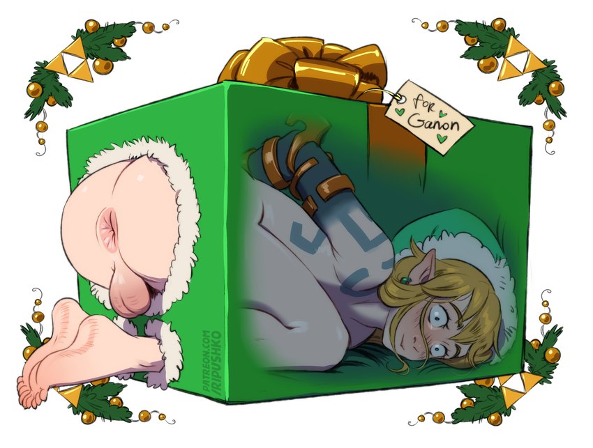 anus balls barefoot blonde_hair blush blush_lines bound box butt christmas_clothing christmas_headwear christmas_present clothing container ear_piercing ear_ring feet genitals gift green_clothing green_headwear hair hands_tied hat headgear headwear holidays humanoid_pointy_ears in_box in_container male not_furry nude nude_humanoid nude_male penis piercing pointy_ears ring_piercing santa_hat sex_box simple_background soles solo text toes ripushko christmas nintendo the_legend_of_zelda link humanoid hylian absurd_res english_text hi_res watermark