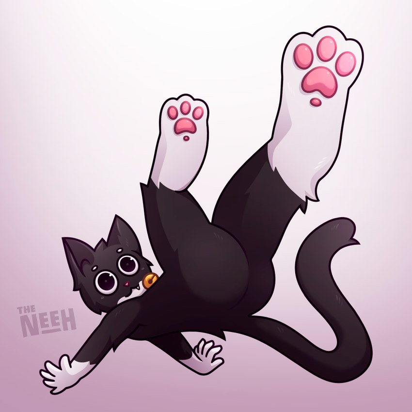 anthro ass_up bell bell_collar black_body black_fur butt butt_focus cat_tail circle_eyebrows collar collar_only derp_eyes dummy ears_up eyebrows falling fangs featureless_crotch feet floating foot_focus fur jumping male male_feet nude owo pawpads paws perspective perspective_shot pink_pawpads pink_paws semi-anthro single_tooth snout solo tail teeth thick_thighs tongue white_body white_fur wide_hips neeh derpy_the_cat domestic_cat felid feline felis mammal 1:1 hi_res