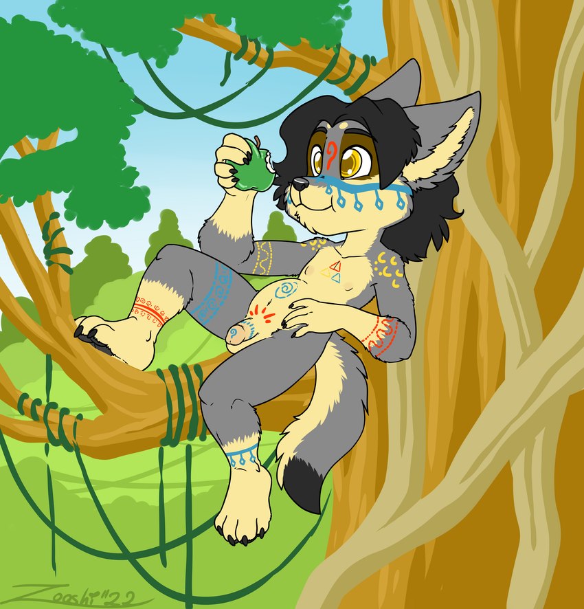 anthro balls circumcised flaccid forest genitals male markings native nude penis plant solo tree tribal tribal_markings young young_anthro zooshi zoocub zooshi_(character) canid canine canis mammal wolf absurd_res hi_res