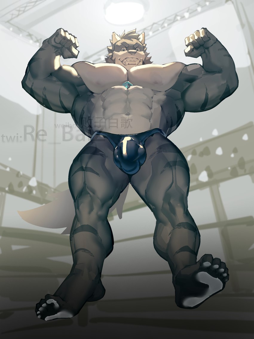 5_toes abs anthro arena blue_clothing blue_thong blue_underwear chest_gem clothed clothing countershade_torso countershading feet fighting_ring flexing flexing_bicep flexing_both_biceps fur gem grey_body grey_fur inside looking_at_viewer looking_down looking_down_at_viewer low-angle_view male muscular muscular_anthro muscular_male muscular_thighs nipples pecs smile soles solo striped_body striped_fur stripes thong thong_only toes topless triceps underwear underwear_only white_body white_fur re_baiz magunm canid canine canis mammal wolf 2024 absurd_res hi_res watermark