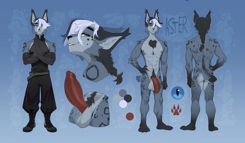 abs anthro balls black_hair boots braided_hair chest_tuft clothing footwear genitals gloves hair handwear male nude penis shoes solo tuft white_hair wetsealky aster_durandal felid feline lynx mammal hi_res model_sheet