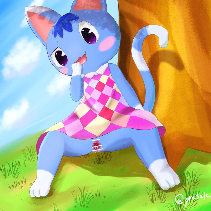 anthro blue_body clothed clothing day dress female genitals mod_fashion outside purple_eyes pussy shift_dress solo spread_legs spreading prafalc animal_crossing nintendo rosie_(animal_crossing) domestic_cat felid feline felis mammal 1:1 censored hi_res