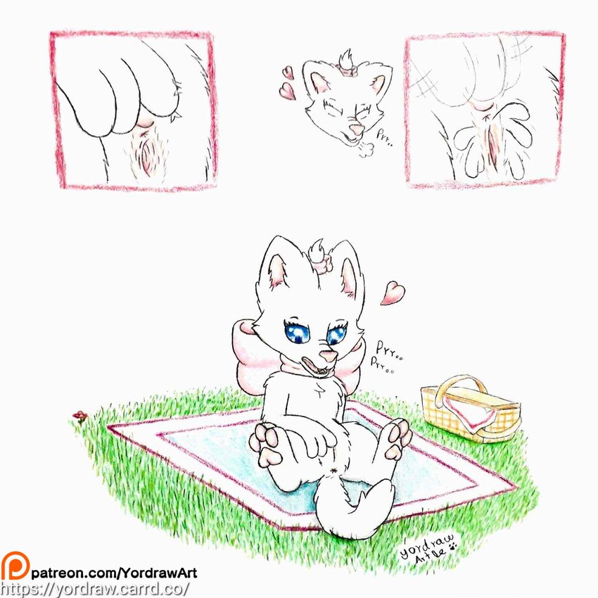 anus blue_eyes bodily_fluids collar feet female fingering fur genital_fluids genitals humanoid_genitalia humanoid_pussy masturbation neck_bow open_pussy patreon_artist patreon_logo patreon_username pawpads paws purring pussy satisfaction semi-anthro solo spread_legs spread_pussy spreading text vaginal vaginal_fingering vaginal_fluids vaginal_masturbation white_body white_fur yordraw disney patreon the_aristocats marie_(aristocats) domestic_cat felid feline felis mammal 1:1 hi_res traditional_media_(artwork) url