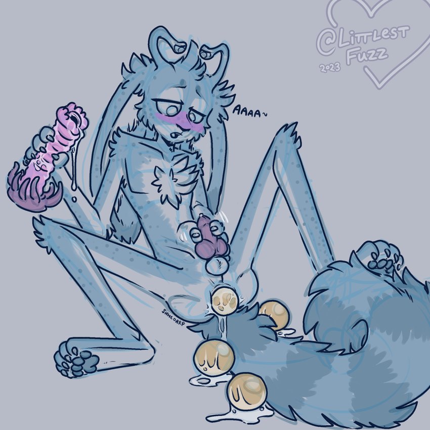 4_eyes 4_toes 5_fingers abdominal_bulge animal_genitalia anthro arm_tuft balls blue_body blue_fur blue_pawpads blush bodily_fluids butt chest_tuft claws dripping egg egg_in_ass egg_insertion erection eyestalks feet finger_claws fingers floppy_ears fluffy fluffy_tail fur genital_fluids genitals head_tuft holding_object holding_penis holding_sex_toy knee_tuft knot leg_tuft lidded_eyes long_tail looking_pleasured lop_ears lube male markings masturbation moan multi_eye nude open_mouth oviposition ovipositor ovipositor_sex_toy pawpads paws penis precum purple_penis sex_toy sheath shlorp shoulder_tuft simple_background skinny_anthro skinny_male small_penis spots spotted_body spotted_fur spread_butt spread_legs spreading striped_markings striped_tail stripes tail tail_markings toe_claws toes tuft littlestfuzz tobi_(littlestfuzz) fuzzmonster 1:1 2023 colored_sketch digital_drawing_(artwork) digital_media_(artwork) hi_res sketch