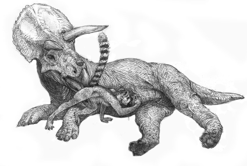 anal balls duo erection fellatio feral feral_on_feral genitals interspecies male male/male oral penile raised_tail rimming sex tail a_inc ceratopsian dinosaur lemur mammal ornithischian prehistoric_species primate reptile scalie strepsirrhine triceratops 2020 greyscale monochrome