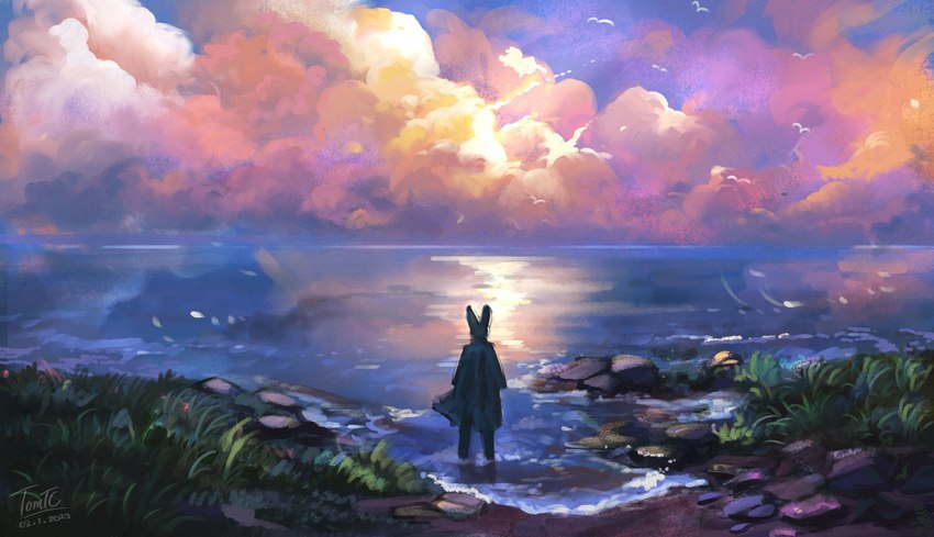 ambient_silhouette ambiguous_gender anthro cloak clothing cloud detailed_background group outside silhouette sky solo_focus water tomtc cc-by-nc-nd creative_commons dr_rabbit_(tomtc) ambient_bird avian bird lagomorph leporid mammal rabbit absurd_res better_version_at_source hi_res irreplaceable_bvas