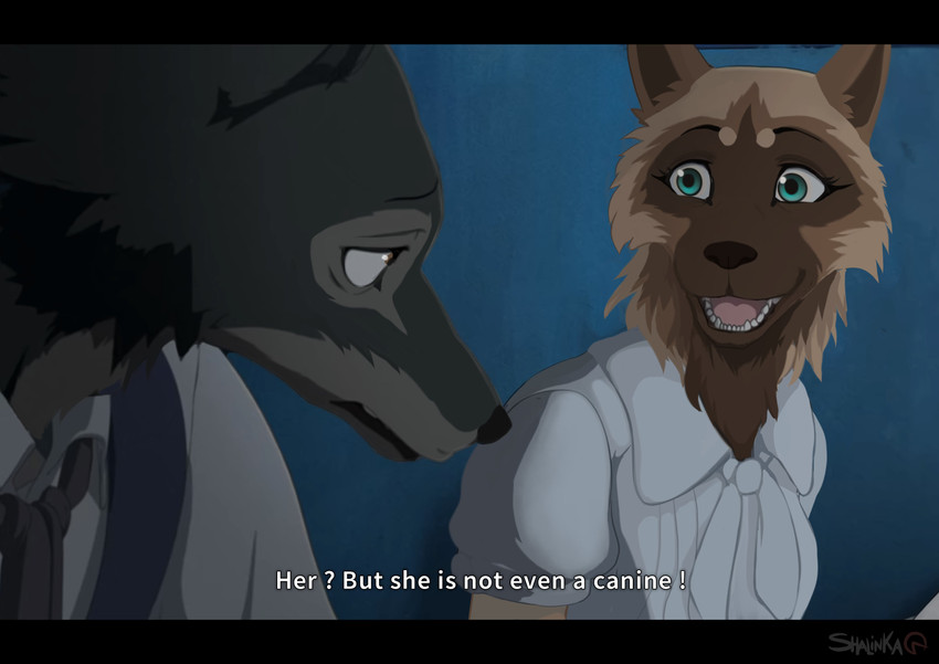 anthro black_bars brown_body brown_fur duo female fur male open_mouth teeth text tongue shalinka beastars canid canine canis mammal wolf 2020 absurd_res digital_media_(artwork) english_text hi_res