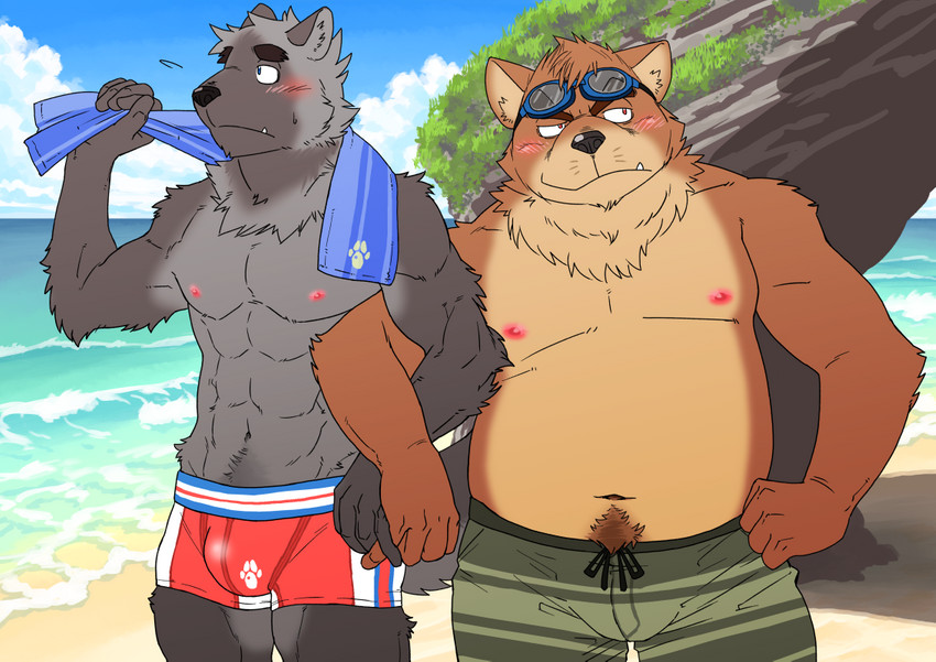 anthro barazoku beach belly blush bulge clothing cute_fangs duo fangs humanoid_hands kemono male moobs muscular navel nipples outside overweight overweight_male pecs seaside swimwear teeth towel water ryuta-h canid canine canis domestic_dog mammal 2016