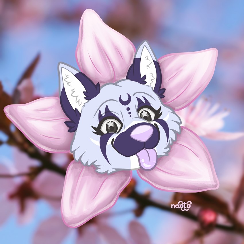 anthro cherry_blossom female flower markings moon petals plant prunus_(flower) solo star_on_eye stripes tongue tongue_out naoto canid canine canis mammal wolf 1:1 absurd_res hi_res