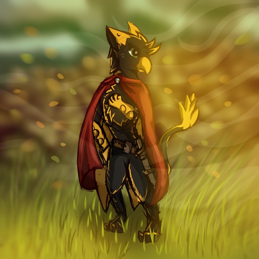 anthro beak black_body black_feathers black_fur cloak clothing ears_back feathers fur grass male paws pivoted_ears plant solo tail wind wings yellow_body yellow_feathers blen4k mythology blench avian gryphon mythological_avian mythological_creature 1:1 hi_res