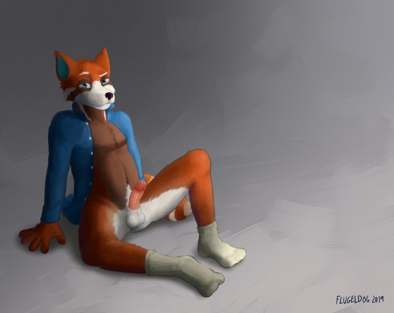 anthro balls biped bottomless clothed clothing erection footwear fur genitals humanoid_genitalia humanoid_penis legwear male penis shirt simple_background sitting smile socks solo topwear flugeldog ailurid mammal red_panda 2019 digital_media_(artwork) hi_res