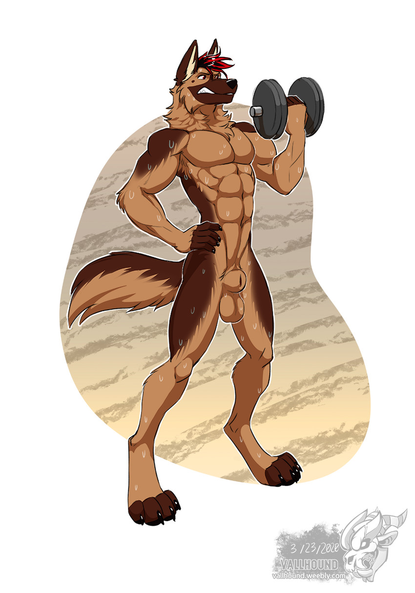 abs angry animal_genitalia anthro athletic athletic_anthro athletic_male balls bicep_curl bodily_fluids brown_body brown_fur exercise fully_sheathed fur genitals hair hand_on_hip holding_object looking_away male neck_tuft nude nude_workout pecs red_eyes sheath simple_background solo sweat tail tan_body tan_fur tuft workout vallhound dayji_(talldoggo) canid canine canis domestic_dog german_shepherd herding_dog mammal pastoral_dog hi_res