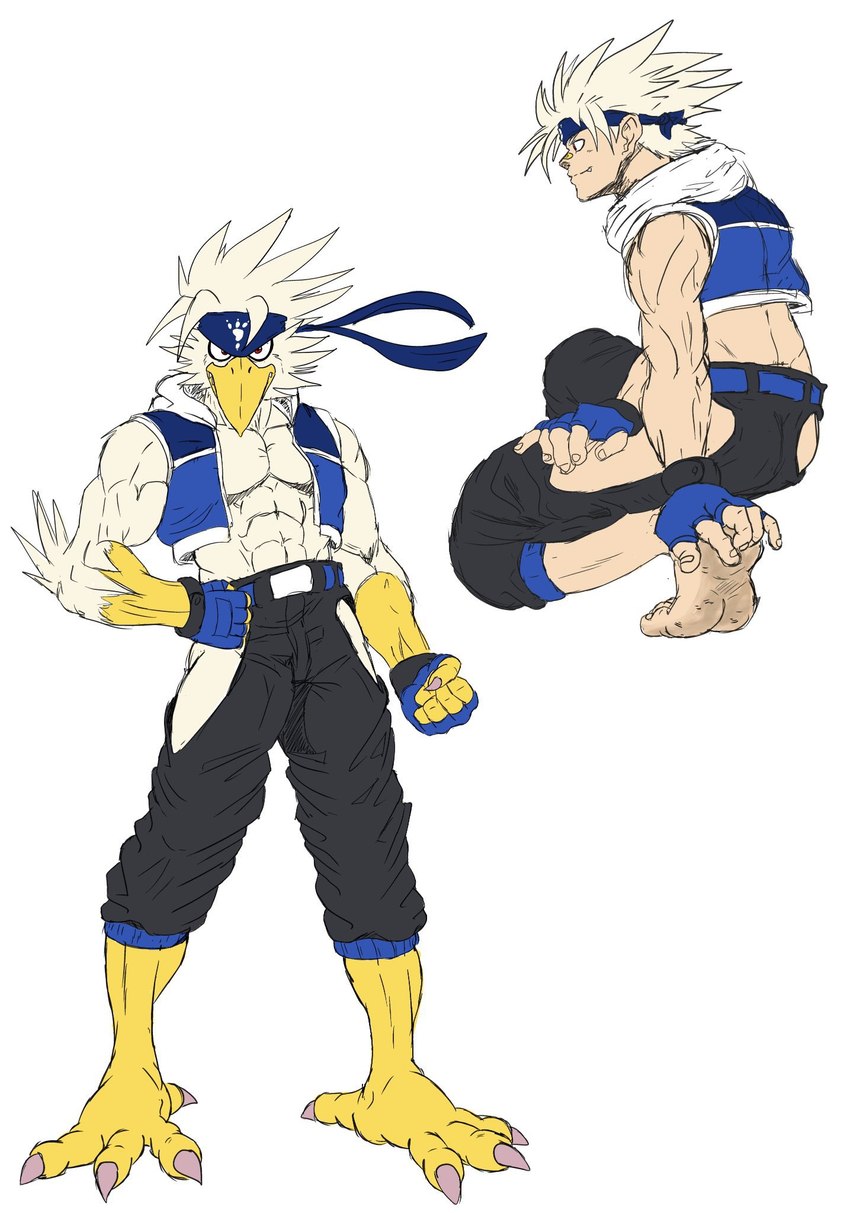 beak clothing feet kerchief legwear male muscular muscular_male talons toes yellow_beak bandanabird aquila_(bandanabird) accipitrid accipitriform avian bird eagle human humanoid mammal hi_res tagme