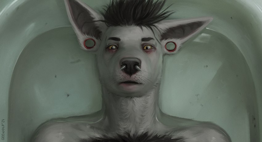 anthro bathtub ear_piercing facial_piercing hair looking_at_viewer male nose_piercing piercing solo water geewolf jacob's_ladder_(film) canid canine canis domestic_dog mammal 2023 digital_media_(artwork) hi_res