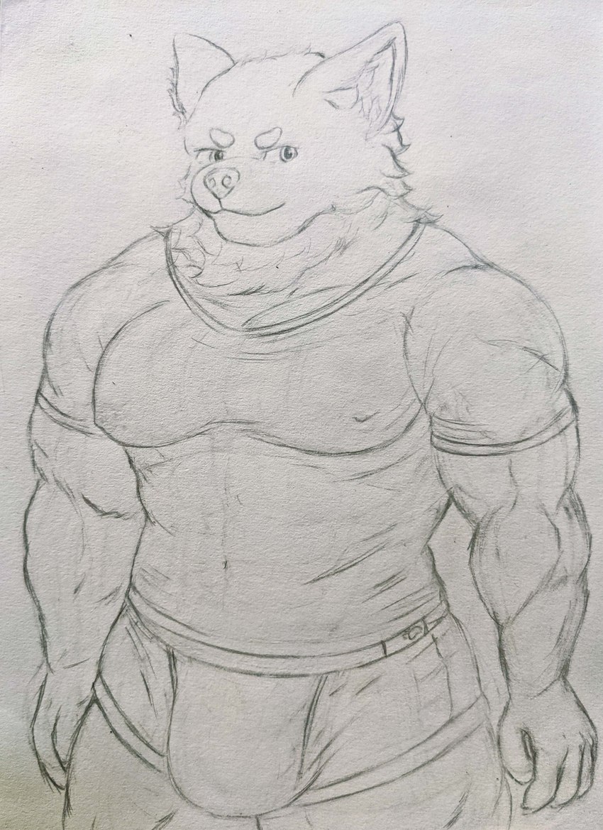 anthro bulge clothed clothing male muscular muscular_anthro muscular_male shirt smile smiling_at_viewer solo topwear underwear ichinoseura canid canine canis mammal wolf absurd_res hi_res traditional_media_(artwork)