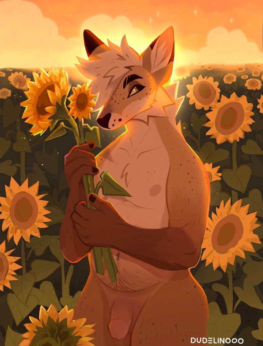 amber_eyes anthro biped black_eyebrows blonde_hair brown_arms brown_hands cheek_tuft cloud countershade_face countershade_torso countershading detailed_background eyebrows facial_tuft field flower freckles genitals gloves_(marking) hair holding_object holding_sunflower humanoid_genitalia humanoid_penis inner_ear_fluff light male markings nipples nude orange_sky penis plant pubes sky slightly_chubby slightly_chubby_anthro slightly_chubby_male solo standing sunflower tan_body tan_countershading tan_hair tan_inner_ear_fluff three-quarter_view tuft yellow_sclera nudelinooo cynamon_(dudelinooo) canid canine fox mammal 2021 artist_name digital_media_(artwork) hi_res lighting portrait three-quarter_portrait