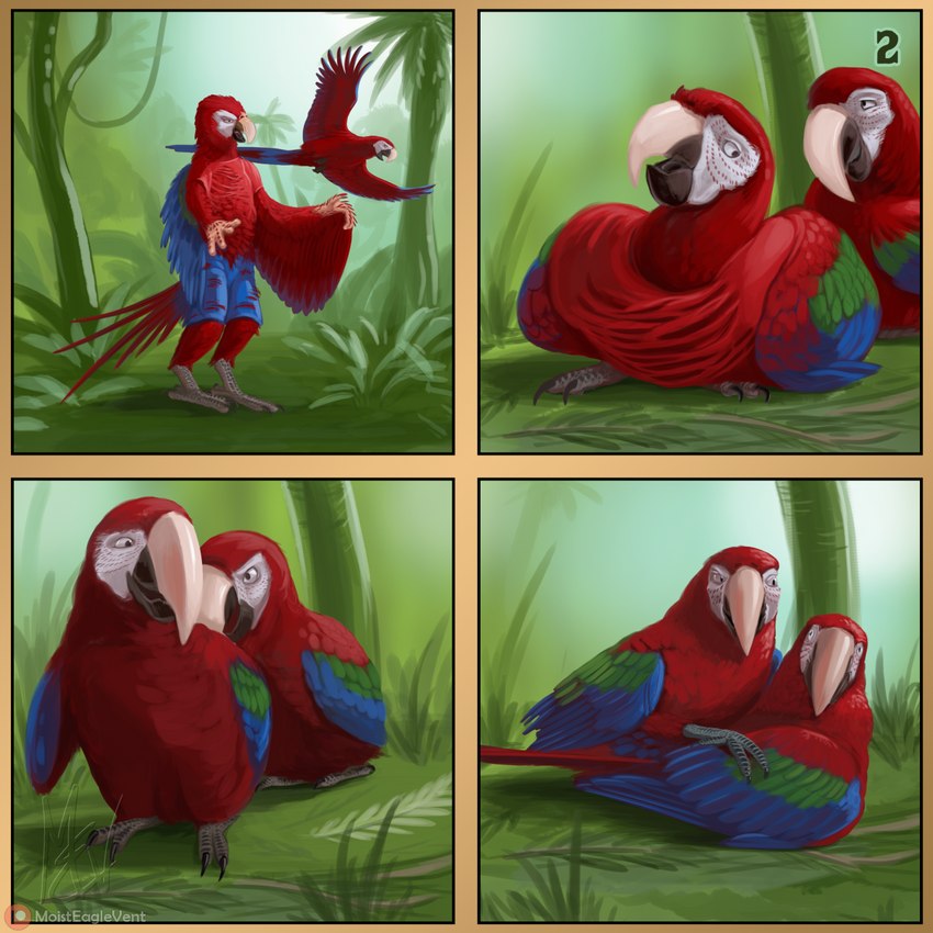 after_transformation avian_feet banibu base_two_layout beak blue_body blue_feathers bottomwear clothing duo feathered_wings feathers feet feral four_frame_image four_frame_sequence green_body green_feathers grid_layout male male/male pants red_body red_feathers regular_grid_layout talons toes transformation transformation_sequence transformation_through_food two_row_layout wings moisteaglevent avian bird human humanoid macaw mammal neotropical_parrot parrot true_parrot 1:1 hi_res