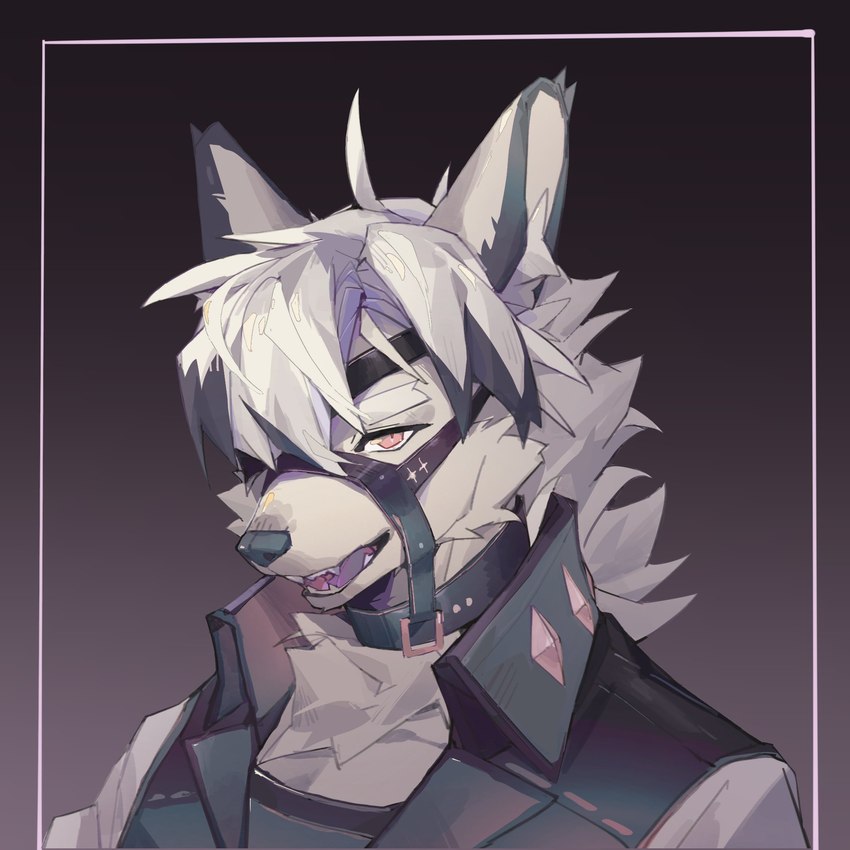 anthro athletic athletic_anthro athletic_male black_collar black_fur_markings collar fur looking_at_viewer male muzzle_(object) muzzled open_mouth solo white_body white_fur yellow_eyes viosgit mihoyo zenless_zone_zero von_lycaon canid canine canis mammal wolf 1:1 2022 digital_media_(artwork) digital_painting_(artwork) hi_res