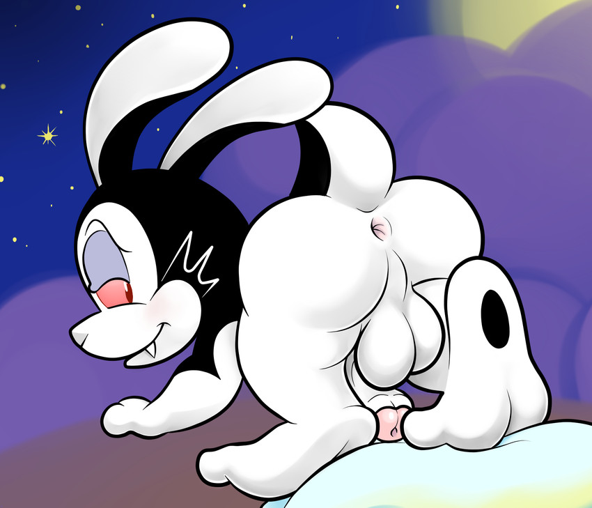 anus butt feral genitals humanoid_genitalia humanoid_penis male penis solo ket-ralus bunnicula_(series) bunnicula lagomorph leporid mammal rabbit hi_res