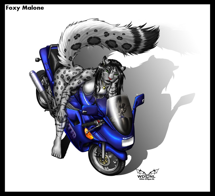 anthro big_breasts biped black_border black_hair border breasts convenient_censorship ear_piercing feet female fur green_eyes hair hindpaw jewelry leopard_spots looking_at_viewer markings motorcycle necklace nude paws piercing solo spots spotted_body spotted_fur text vehicle white-dragon-nl kawasaki felid leopard mammal pantherine snow_leopard 2009 censored digital_media_(artwork) english_text