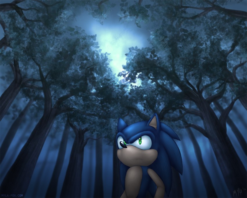 anthro black_nose blue_body forest green_eyes male mouth_closed night outside plant solo tan_body text tree mylafox sega sonic_the_hedgehog_(series) sonic_the_hedgehog eulipotyphlan hedgehog mammal 5:4 signature url