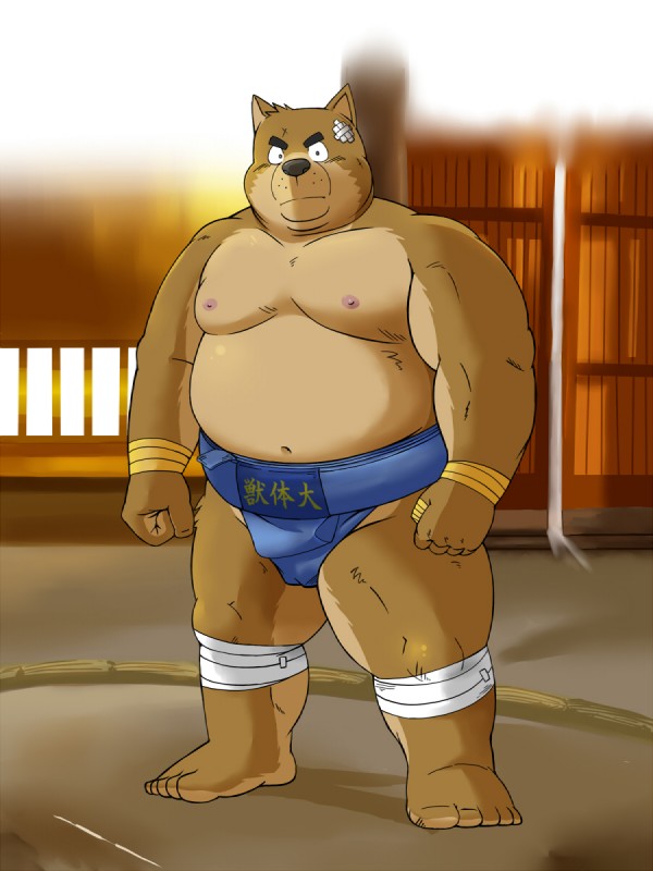 5_fingers 5_toes anthro arm_wraps asian_clothing bandage barefoot belly biped blue_bottomwear blue_clothing bottomwear brown_body brown_fur clothed clothing dohyo east_asian_clothing feet fighting_ring fingers fist fur humanoid_feet inside japanese_clothing leg_wraps looking_at_viewer male mawashi nipples overweight overweight_anthro overweight_male plantigrade skimpy solo sumo sumo_ring tan_body tan_fur toes topless wraps wrestler shiba-kenta canid canine canis domestic_dog mammal 3:4 full-length_portrait hi_res portrait