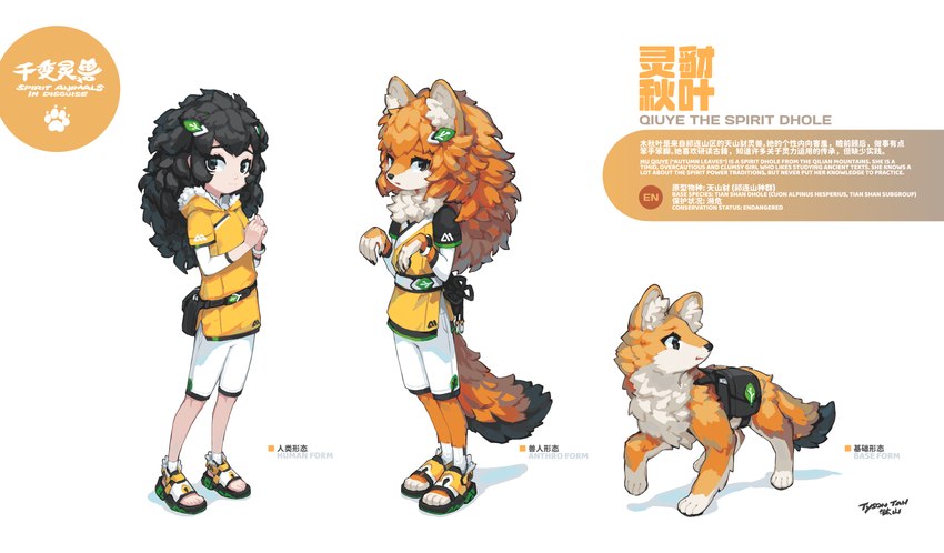 anthro backpack black_hair bottomwear clothed clothing female feral footwear fur hair hoodie looking_at_viewer looking_back orange_body orange_fur orange_hair sandals shoes shorts simple_background solo tail text topwear white_background tysontan canid canine dhole human mammal 2024 absurd_res english_text hi_res signature