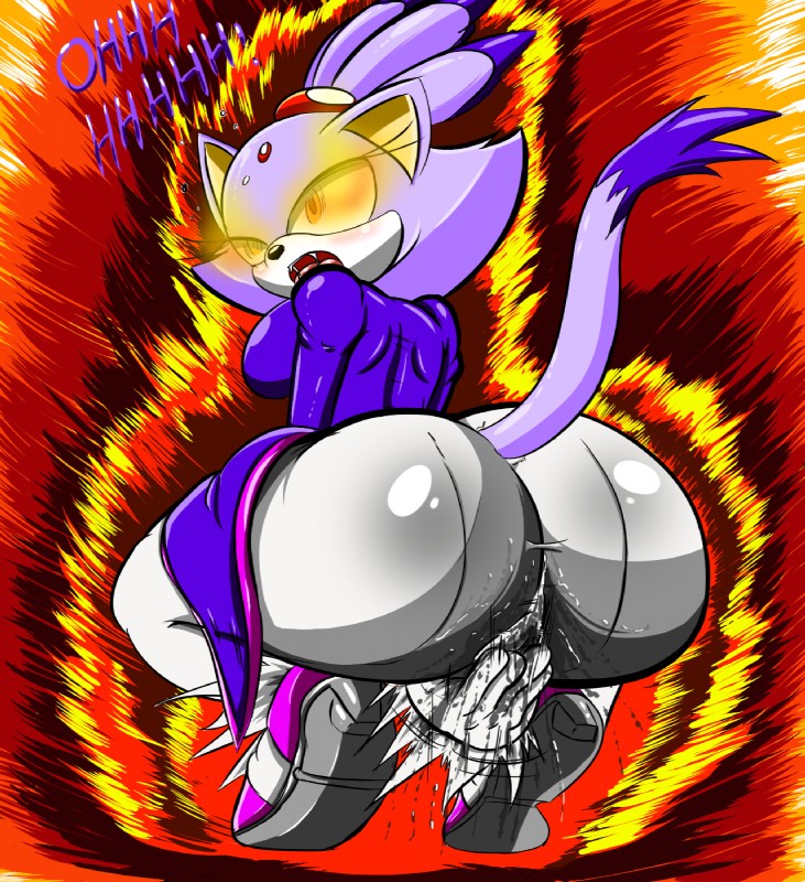 blaze the cat (sonic the hedgehog (series) and etc) created by nobody147