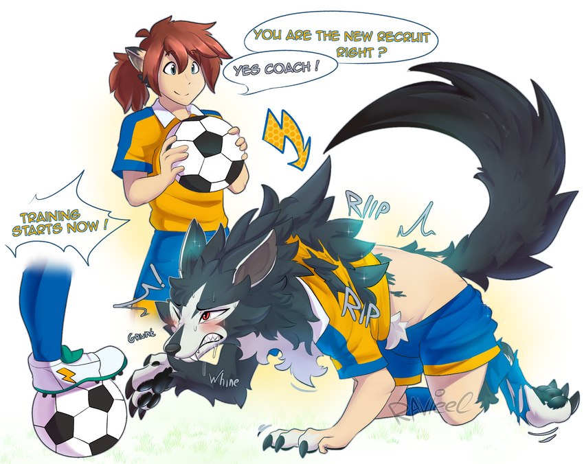 ball black_body black_fur blush bodily_fluids bottomwear claws cleats clenched_teeth clothing duo feral fur fur_growth growth human_to_feral male one_eye_closed pawpads red_eyes shorts soccer_ball soccer_uniform species_transformation sportswear sweat tail tail_growth teeth text torn_clothing transformation uniform ravieel inazuma_eleven_go tsurugi_kyousuke canid canine canis human mammal wolf english_text hi_res