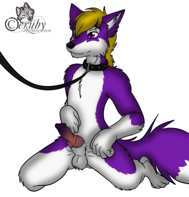 anthro erection male nude penis simple_background solo white_background ceruby lucian canid canine canis mammal wolf hi_res