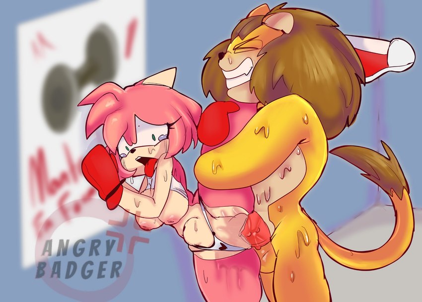 amy rose and fan character (sonic the hedgehog (series) and etc) created by angrybadger000