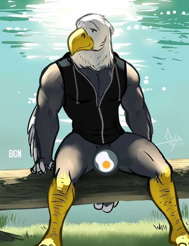 anthro beak biceps biped bottomless branch clothed clothing detailed_background dot_eyes eyebrows feathered_wings feathers feet food_censorship front_view genitals grass grey_body grey_feathers grey_tail_feathers light male multicolored_body multicolored_feathers muscular muscular_anthro muscular_male nature on_branch open_clothing open_topwear open_vest outside pecs penis penis_base plant relaxing simple_eyes sitting smile solo sunlight tail tail_feathers talons thick_thighs toes topwear vest water white_body white_feathers winged_arms wings yellow_beak bgn animal_crossing nintendo apollo_(animal_crossing) accipitrid accipitriform avian bald_eagle bird eagle sea_eagle 2017 censored dated digital_media_(artwork) full-length_portrait hi_res portrait signature