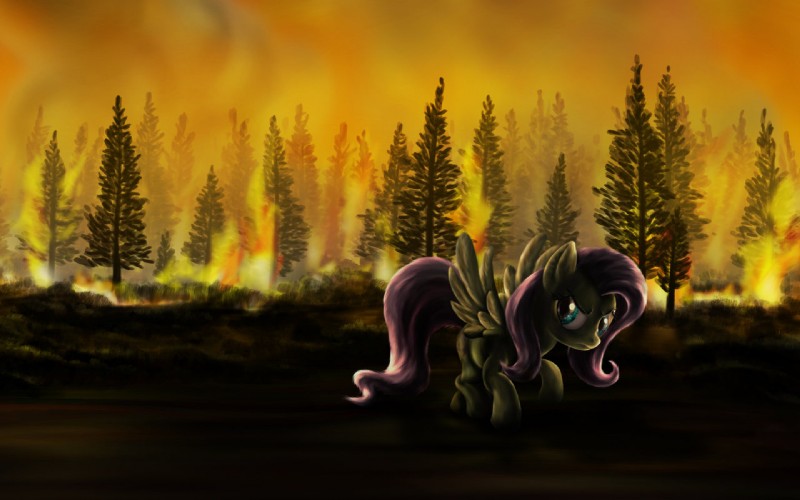 bloodshot_eyes blue_eyes cloud detailed_background feathered_wings feathers female feral fire forest forest_fire natural_disaster nature outside plant quadruped sky solo tail tree wings wood yellow_body yellow_feathers dcpip friendship_is_magic hasbro my_little_pony mythology fluttershy_(mlp) equid equine mammal mythological_creature mythological_equine pegasus 16:10 wallpaper widescreen