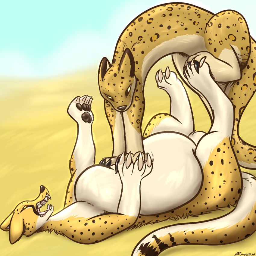 attack belly bloated close_to_bursting distended duo female feral fight hand_on_belly organs savanna stomach swollen vore verysoft cheetah felid feline leopard mammal pantherine 1:1 story story_in_description