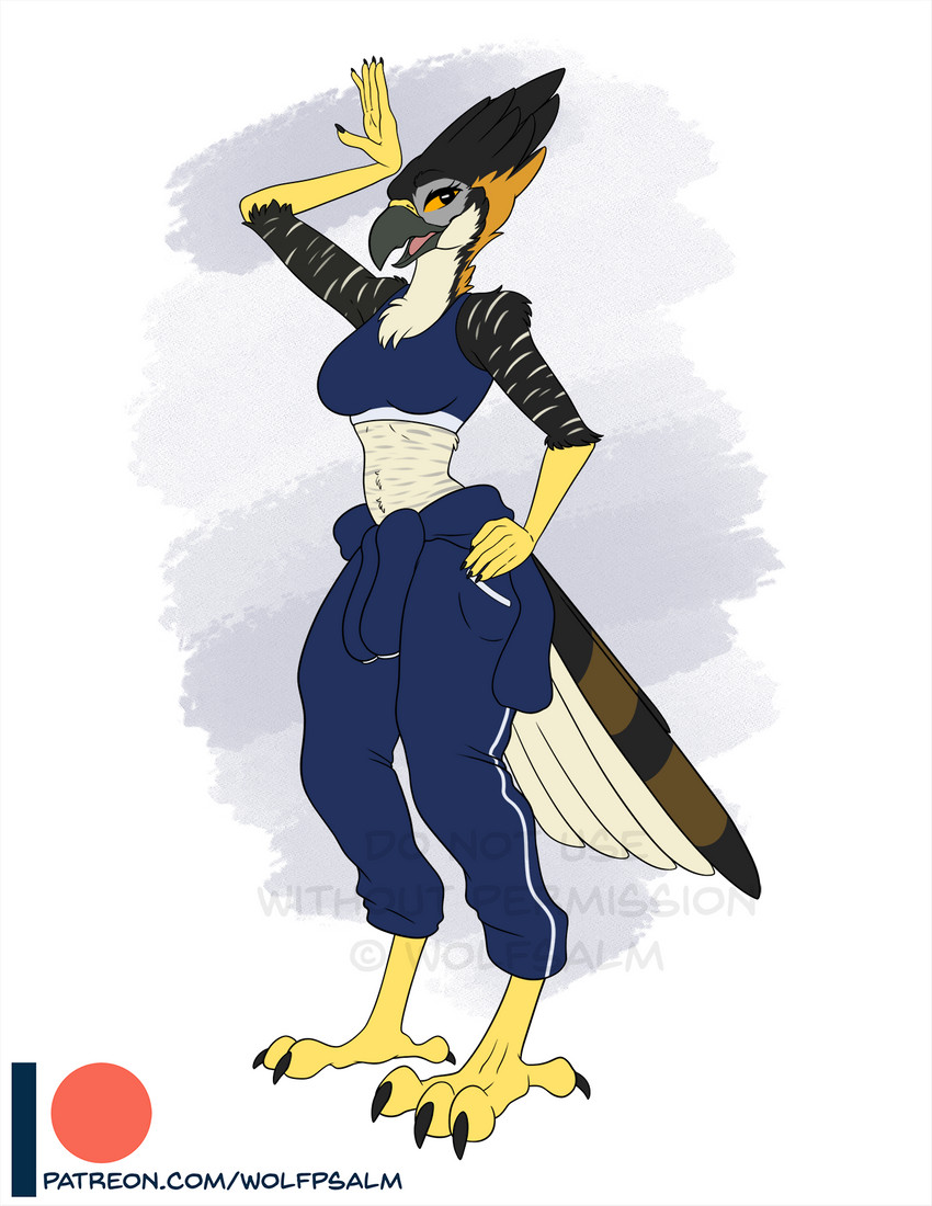 anthro barefoot beak claws clothed clothing feathers feet female mechanic solo tail tail_feathers talons text toes wolfpsalm avian bird falcon falconid 2020 hi_res sketch url