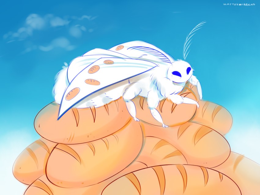 bread moth created by wasteroforange