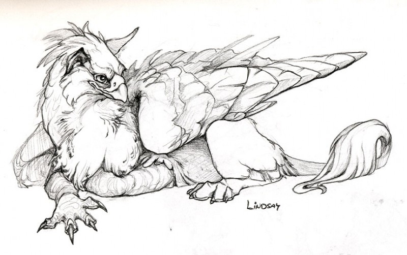 ambiguous_gender beak claws feathered_wings feathers feet feral looking_back lying pawpads simple_background solo spread_toes tail tail_tuft toes tuft white_background wings novawuff mythology avian gryphon mythological_avian mythological_creature 2006 black_and_white monochrome portrait sketch