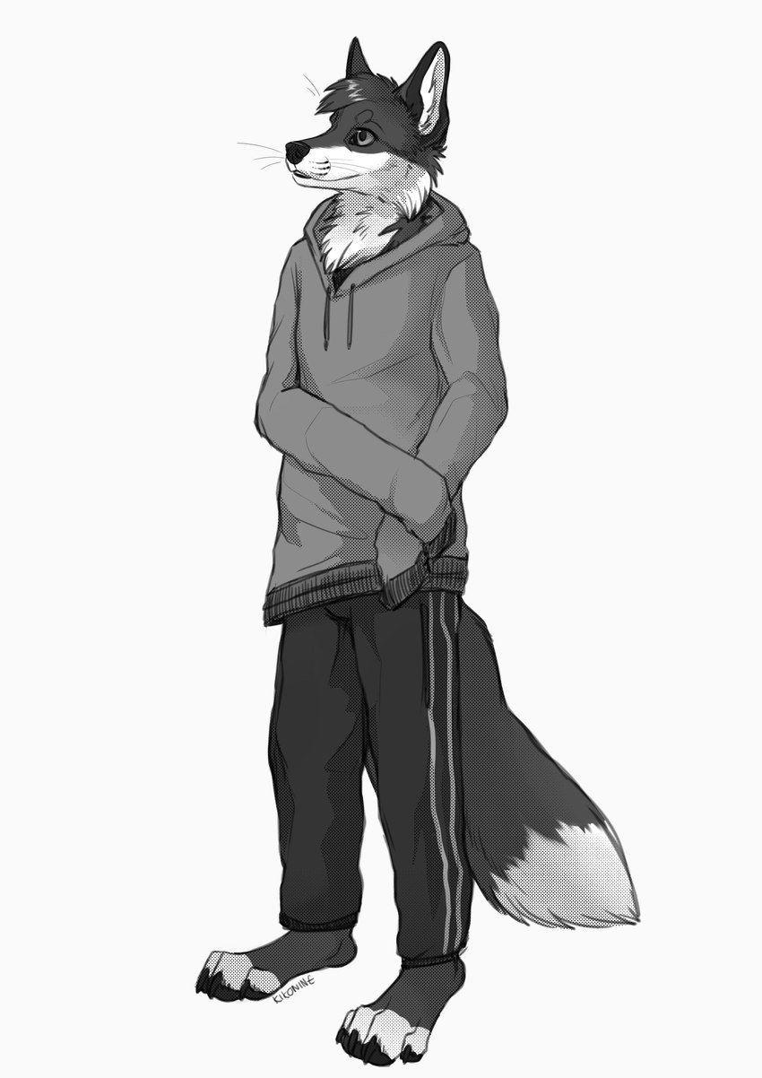 anthro chest_tuft clothed clothing dipstick_tail drawstring drawstring_topwear hands_in_sleeves head_tuft hoodie inner_ear_fluff male markings no_shoes oversized_clothing paws solo tail tail_markings topwear track_pants tuft whiskers kikonine doppelfoxx yaxley_warrick_(doppelfoxx) arctic_fox canid canine cross_fox fox hybrid mammal red_fox true_fox absurd_res hi_res monochrome sketch nonbinary_(lore)