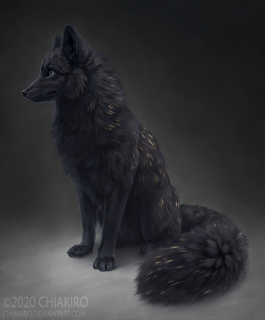 ambiguous_gender black_body black_ears black_fur black_nose black_tail claws feral fur solo tail text chiakiro finnish_mythology mythology canid canine fox mammal mythological_canine mythological_creature mythological_firefox mythological_fox 2020 full-length_portrait portrait url