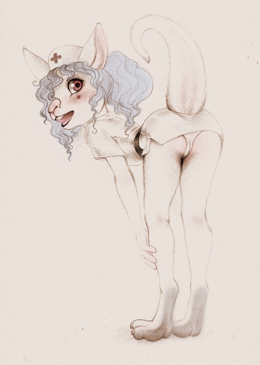 anthro blue_hair butt clothed clothing feet female fur hair looking_at_viewer looking_back looking_back_at_viewer nurse_clothing nurse_uniform open_mouth panties paws presenting presenting_hindquarters raised_tail soles solo tail toes underwear uniform upskirt young young_female fuchs cailey_(ecmajor) grey_kangaroo kangaroo macropod mammal marsupial absurd_res hi_res