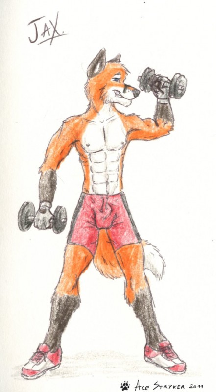 anthro athletic athletic_anthro athletic_male blue_eyes bottomwear clothing dipstick_tail exercise grin holding_object looking_at_viewer male markings shorts smile solo tail tail_markings weightlifting weights workout ace_stryker canid canine fox mammal 2011 hi_res