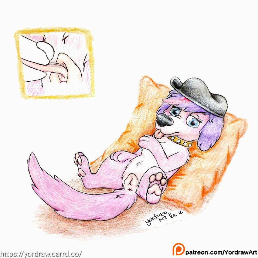 animal_genitalia animal_pussy anus canine_genitalia canine_pussy clothing collar cunnilingus feet female feral fur genitals hat headgear headwear licking looking_at_viewer lying lying_on_ground on_back on_ground oral orange_pillow patreon_exclusive patreon_logo patreon_username pawpads paws pillow pink_body pink_fur pink_pawpads pink_pussy pussy self_lick sex smile smiling_at_viewer solo spread_legs spreading tail text tongue tongue_fucking tongue_out vaginal yordraw hasbro littlest_pet_shop littlest_pet_shop_(2012) patreon zoe_trent canid canine mammal 1:1 hi_res url